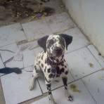 Princessa